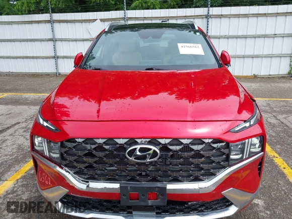 2023 Hyundai Santa Fe Calligraphy with VIN 5NMS54AL9PH589991, listed as a IAAI auction lot 42566562 with 23,162 mi miles and . Bid and sale history available at DreamBid. Image 6.