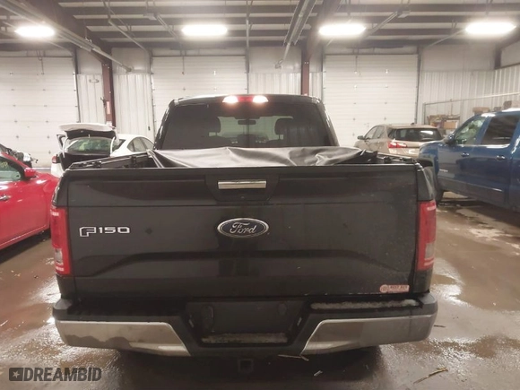 2015 Ford F-150 XLT w/HD Payload Pkg with VIN 1FTFW1EG8FFB59391, listed as a IAAI auction lot 41520010 with 119,414 mi miles. Bid and sale history available at carsss.com. Image 16.