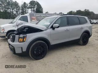 2024 Kia Telluride EX X-Line z VIN 5XYP3DGC0RG557043, wystawiony jako Copart lot #48745215 z przebiegiem 8768 mil mil oraz Szkody całkowita. Historia ofert i sprzedaży dostępna na DreamBid. Obrazek 1.