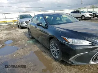 2022 Lexus ES 250 with VIN 58AD11D18NU008987, listed as a Copart auction lot 55146525 with 241,833 mi miles and Salvage title. Bid and sale history available at DreamBid. Image 14.