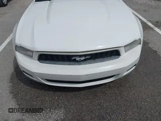2010 Ford Mustang V6 with VIN 1ZVBP8AN8A5137525, listed as a IAAI auction lot 42025537 with 131,998 mi miles and . Bid and sale history available at carsss.com. Image 6.
