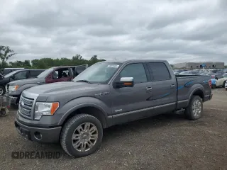 2012 Ford F-150 XL with VIN 1FTFW1ET1CFB55255, listed as a Copart auction lot 58023485 with 204,562 mi miles and Salvage title. Bid and sale history available at DreamBid. Image 1.