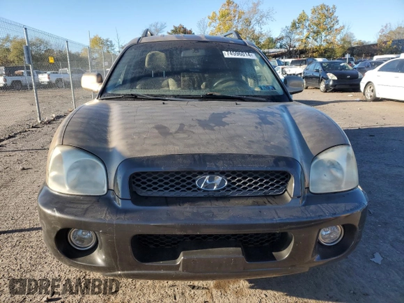 2004 Hyundai Santa Fe GLS with VIN KM8SC73D94U722035, listed as a Copart auction lot 74596014 with 122,920 mi miles and Salvage Title. Bid and sale history available at carsss.com. Image 5.