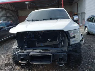 2015 Ford F-150 XLT with VIN 1FTEW1EG9FFB18151, listed as a IAAI auction lot 41922276 with 163,090 mi miles. Bid and sale history available at carsss.com. Image 13.