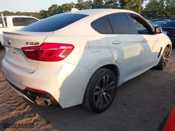 2017 BMW X6 xDrive35i with VIN 5UXKU2C37H0U29936, listed as a IAAI auction lot 40332243 with 95,187 mi miles. Bid and sale history available at carsss.com. Image 4.