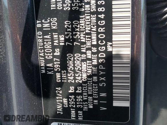 2024 Kia Telluride EX with VIN 5XYP3DGC0RG483526, listed as a Copart auction lot 62360355 with 13,498 mi miles and Salvage title. Bid and sale history available at DreamBid. Image 13.