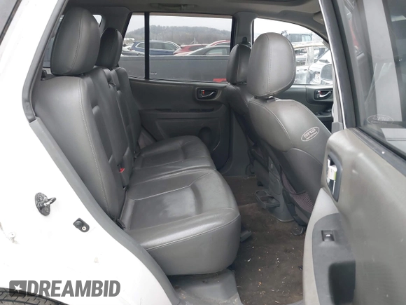 2003 Hyundai Santa Fe GLS with VIN KM8SC13E33U520344, listed as a IAAI auction lot 41528796 with 246,923 mi miles. Bid and sale history available at carsss.com. Image 8.