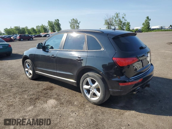 2017 Audi Q5 Premium with VIN WA1C2AFP4HA067699, listed as a Copart auction lot 61230925 with 187,040 mi miles and Salvage title. Bid and sale history available at DreamBid. Image 2.
