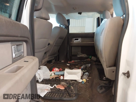 2010 Ford F-150 XL with VIN 1FTEW1C83AFB58732, listed as a IAAI auction lot 41361679 with 203,701 mi miles and . Bid and sale history available at DreamBid. Image 8.