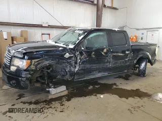 2011 Ford F-150 Lariat with VIN 1FTFW1E64BFC98094, listed as a Copart auction lot 48716675 with 245,173 mi miles and Salvage Title. Bid and sale history available at carsss.com. Image 1.