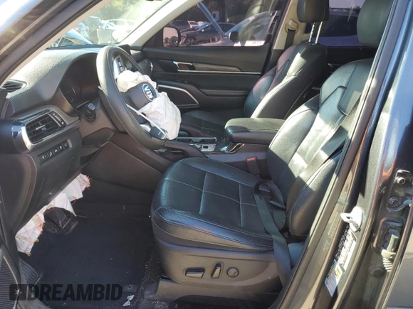 2020 Kia Telluride EX with VIN 5XYP34HC9LG059140, listed as a Copart auction lot 80304704 with 117,895 mi miles and Salvage Title. Bid and sale history available at DreamBid. Image 7.