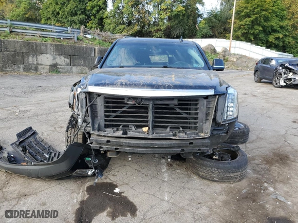 2019 Cadillac Escalade Luxury with VIN 1GYS4BKJ5KR391959, listed as a Copart auction lot 73730244 with 0 mi miles and Salvage Title. Bid and sale history available at carsss.com. Image 5.