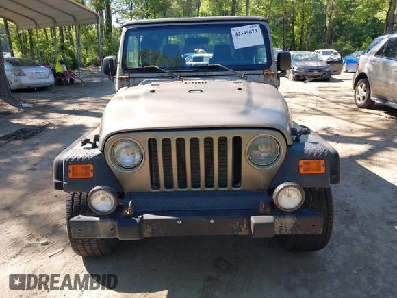 2003 Jeep Wrangler Sport with VIN 1J4FA49S13P313180, listed as a IAAI auction lot 42349673 with 141,073 mi miles and . Bid and sale history available at DreamBid. Image 12.