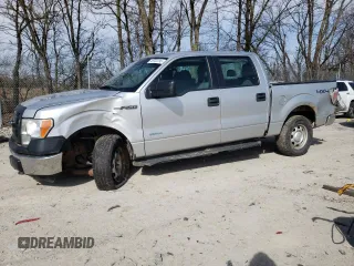 2013 Ford F-150 XL with VIN 1FTFW1ET2DFA52069, listed as a Copart auction lot 49722295 with 0 mi miles and Salvage Title. Bid and sale history available at carsss.com. Image 1.