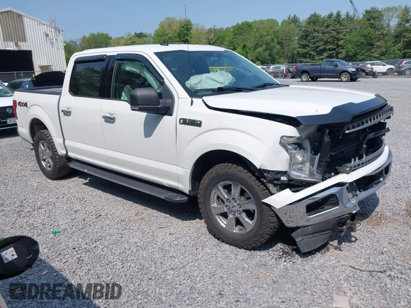 2019 Ford F-150 XL with VIN 1FTEW1E44KFC73383, listed as a IAAI auction lot 42414579 with 204,997 mi miles and . Bid and sale history available at DreamBid. Image 1.