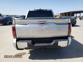 2022 Toyota Tundra 1794 Edition with VIN 5TFMA5ABXNX005457, listed as a Copart auction lot 49793525 with 58,484 mi miles and Clean title. Bid and sale history available at DreamBid. Image 6.