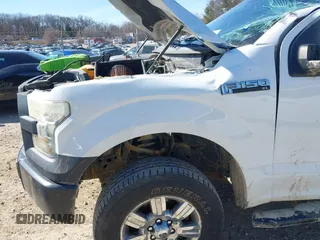 2016 Ford F-150 XLT z VIN 1FTFX1EF9GFB30570, wystawiony jako IAAI lot #42041601 z przebiegiem 172 478 mil mil oraz . Historia ofert i sprzedaży dostępna na DreamBid. Obrazek 6.