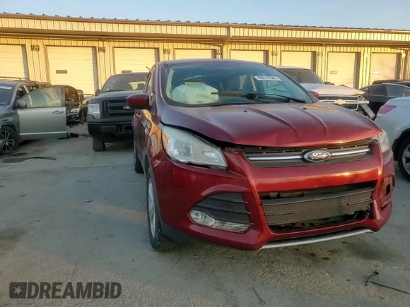 2014 Ford Escape SE with VIN 1FMCU9G94EUC19288, listed as a Copart auction lot 48514585 with 126,182 mi miles and Salvage Title. Bid and sale history available at carsss.com. Image 10.