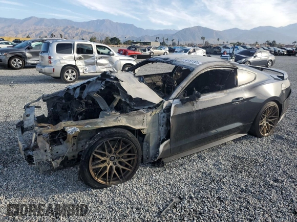 2019 Ford Mustang EcoBoost with VIN 1FA6P8TH3K5176753, listed as a Copart auction lot 46191205 with Not Provided miles and Salvage Title. Bid and sale history available at carsss.com. Image 1.