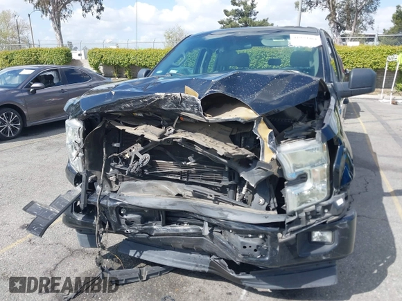 2017 Ford F-150 XL with VIN 1FTEX1CP3HKC18840, listed as a IAAI auction lot 41929464 with 1 mi miles. Bid and sale history available at carsss.com. Image 6.