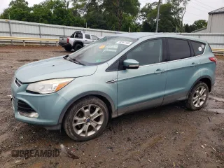 2013 Ford Escape SEL with VIN 1FMCU0HX9DUB02829, listed as a Copart auction lot 58597155 with 134,637 mi miles and Clean title. Bid and sale history available at DreamBid. Image 1.