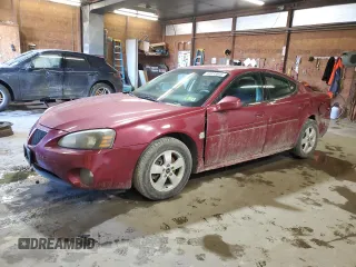 2006 Pontiac Grand Prix with VIN 2G2WP552961131636, listed as a Copart auction lot 44033645 with 182,002 mi miles and Salvage Title. Bid and sale history available at carsss.com. Image 1.