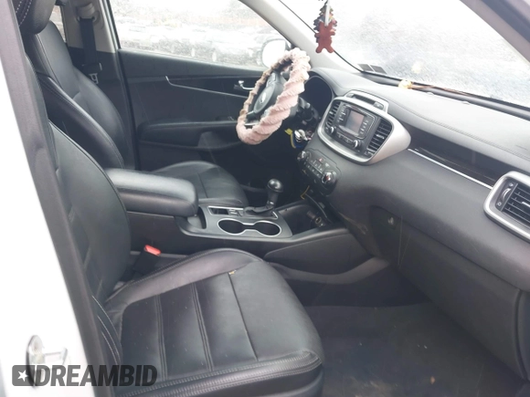 2017 Kia Sorento LX with VIN 5XYPG4A5XHG229951, listed as a IAAI auction lot 41731240 with 89,943 mi miles and . Bid and sale history available at DreamBid. Image 5.