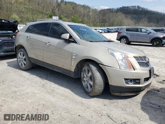 2010 Cadillac SRX Premium Collection with VIN 3GYFNCEY5AS620018, listed as a Copart auction lot 52893755 with Not provided miles and Salvage title. Bid and sale history available at DreamBid. Image 4.