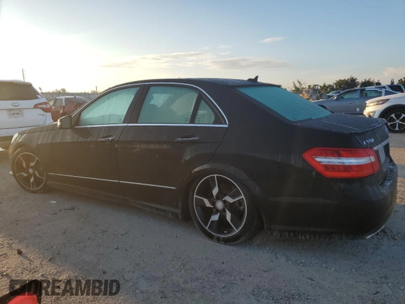 2010 Mercedes-Benz E-Class E 550 Luxury with VIN WDDHF9AB0AA257716, listed as a Copart auction lot 74117034 with 0 mi miles and Salvage Title. Bid and sale history available at carsss.com. Image 2.