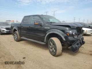 2011 Ford F-150 XL with VIN 1FTFW1EF5BKD29344, listed as a Copart auction lot 50380205 with 117,289 mi miles and Salvage Title. Bid and sale history available at DreamBid. Image 4.