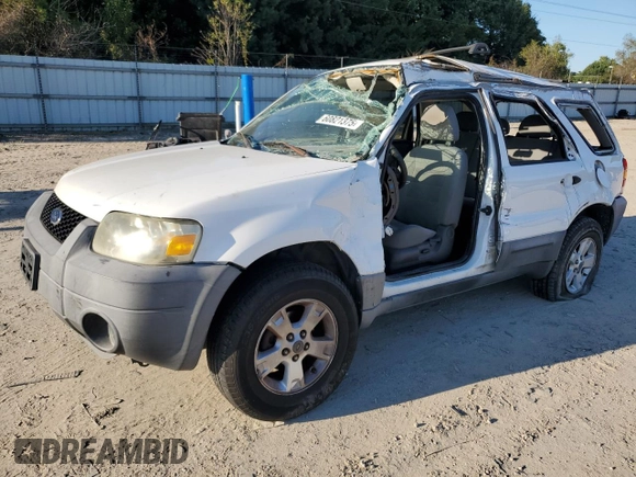 2006 Ford Escape XLT with VIN 1FMYU031X6KB98378, listed as a Copart auction lot 60821375 with 113,533 mi miles and Clean title. Bid and sale history available at DreamBid. Image 1.