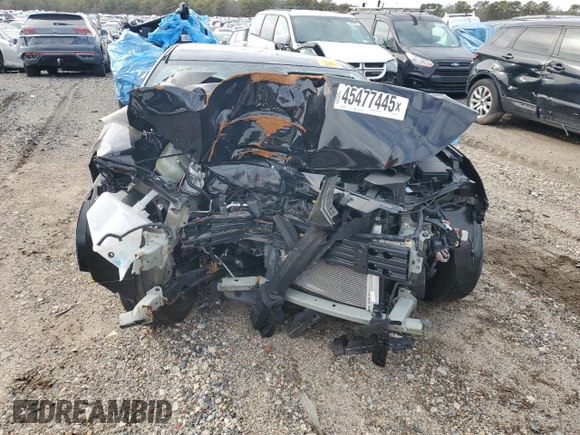 2024 Nissan Sentra SV with VIN 3N1AB8CV2RY289151, listed as a Copart auction lot 45477445 with Not Provided miles and Salvage Title. Bid and sale history available at carsss.com. Image 5.