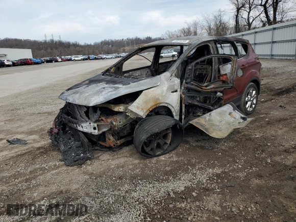 2015 Ford Escape SE with VIN 1FMCU9GX3FUA75944, listed as a Copart auction lot 49818255 with 0 mi miles and Salvage Title. Bid and sale history available at carsss.com. Image 1.