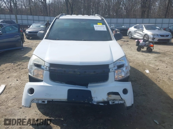 2007 Chevrolet Equinox LS with VIN 2CNDL13F876099694, listed as a IAAI auction lot 41503664 with 116,165 mi miles. Bid and sale history available at carsss.com. Image 13.