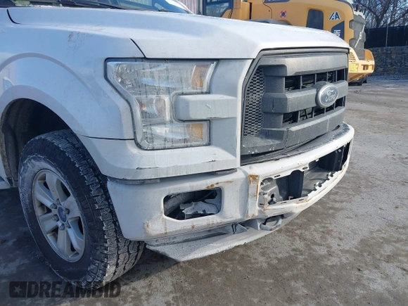 2017 Ford F-150 XL with VIN 1FTEX1EP1HKC49713, listed as a IAAI auction lot 41231172 with 250,679 mi miles. Bid and sale history available at carsss.com. Image 17.