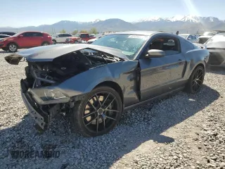 2013 Ford Mustang GT with VIN 1ZVBP8CF3D5246615, listed as a Copart auction lot 53124855 with Not provided miles and Salvage title. Bid and sale history available at DreamBid. Image 1.