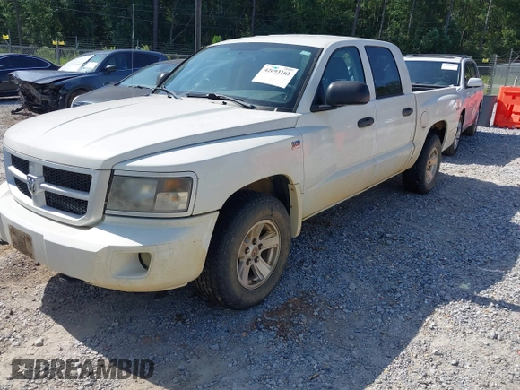 2009 Dodge Dakota with VIN 1D3HW38PX9S789626, listed as a IAAI auction lot 42693162 with 175,620 mi miles and . Bid and sale history available at DreamBid. Image 6.