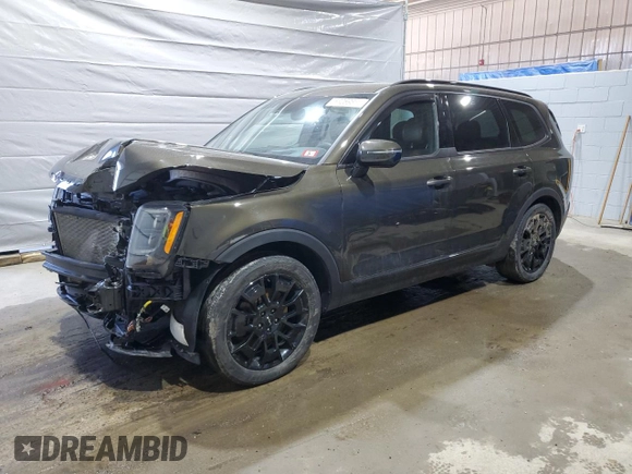 2022 Kia Telluride SX with VIN 5XYP5DHC2NG276672, listed as a Copart auction lot 53269885 with 44,780 mi miles and Salvage title. Bid and sale history available at DreamBid. Image 1.