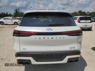 2024 Infiniti QX60 Luxe with VIN 5N1DL1FS7RC338753, listed as a Copart auction lot 61552565 with 24,667 mi miles and Salvage title. Bid and sale history available at DreamBid. Image 6.