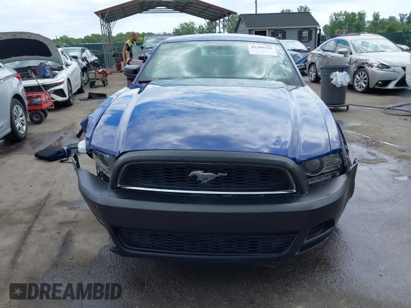 2013 Ford Mustang V6 with VIN 1ZVBP8AM7D5228491, listed as a IAAI auction lot 42209129 with 146,461 mi miles and . Bid and sale history available at DreamBid. Image 12.