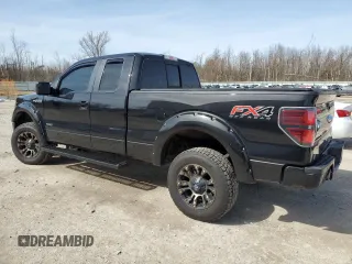 2014 Ford F-150 XL with VIN 1FTFX1ET5EFA49472, listed as a Copart auction lot 48054815 with 137,860 mi miles and Salvage Title. Bid and sale history available at carsss.com. Image 2.