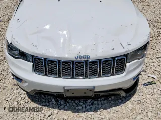 2019 Jeep Grand Cherokee Laredo E with VIN 1C4RJEAG0KC603870, listed as a Copart auction lot 60142575 with Not provided miles and Salvage title. Bid and sale history available at DreamBid. Image 11.