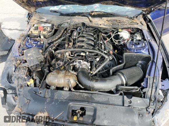 2015 Ford Mustang GT with VIN 1FA6P8CF0F5418662, listed as a Copart auction lot 55444845 with Not Provided miles and Salvage Title. Bid and sale history available at DreamBid. Image 11.