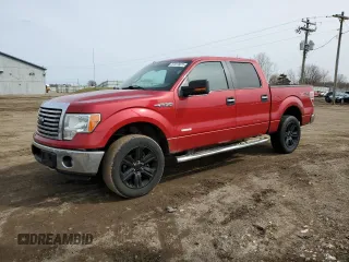 2012 Ford F-150 XL with VIN 1FTFW1ETXCKE11335, listed as a Copart auction lot 51619075 with 219,868 mi miles and Clean Title. Bid and sale history available at carsss.com. Image 1.