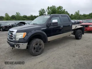2009 Ford F-150 XL z VIN 1FTPW14V79FB03645, wystawiony jako Copart lot #60231315 z przebiegiem Nie podano mil oraz Czysty tytuł • Clean title. Historia ofert i sprzedaży dostępna na DreamBid. Obrazek 1.