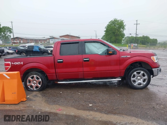 2013 Ford F-150 XL with VIN 1FTFW1EF6DFB48555, listed as a IAAI auction lot 42160534 with 134,289 mi miles and . Bid and sale history available at carsss.com. Image 13.