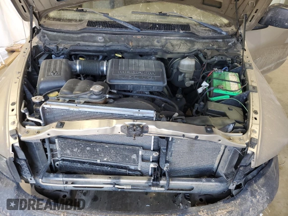 2002 Dodge 1500 z VIN 1D7HA16N82J247553, wystawiony jako Copart lot #49992765 z przebiegiem 192 774 mil mil oraz Szkoda całkowita • Salvage title. Historia ofert i sprzedaży dostępna na DreamBid. Obrazek 11.