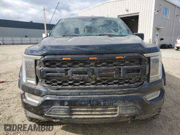 2022 Ford F-150 XL with VIN 1FTFW1E52NKE31356, listed as a Copart auction lot 56332355 with 161,754 mi miles and Salvage Title. Bid and sale history available at DreamBid. Image 5.