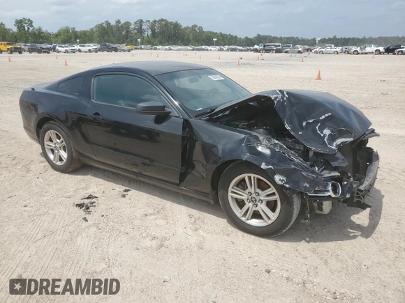 2013 Ford Mustang V6 with VIN 1ZVBP8AM7D5276010, listed as a Copart auction lot 53842395 with 0 mi miles and Clean Title. Bid and sale history available at carsss.com. Image 4.