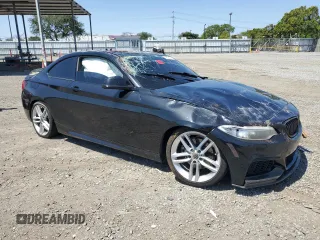 2016 BMW 2 Series 228i with VIN WBA1F9C53GV546624, listed as a Copart auction lot 57800425 with 96,608 mi miles and Salvage title. Bid and sale history available at DreamBid. Image 4.